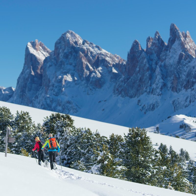 Schneeschuhwanderer  | © IDM Südtirol-Alto Adige/Dietmar Denger
