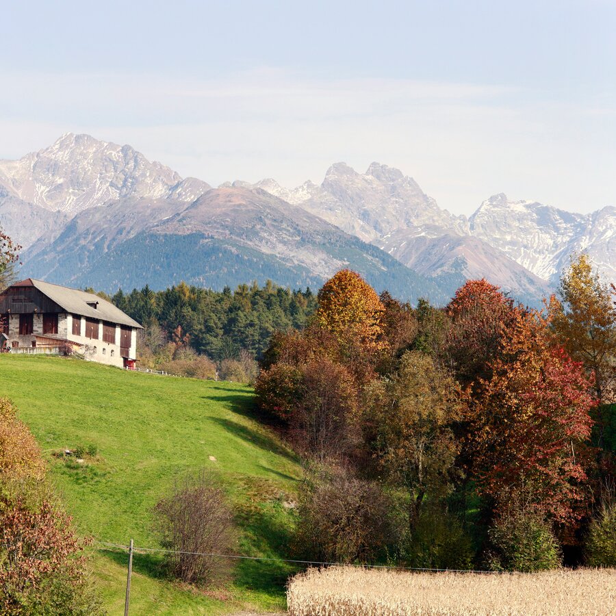 Small farm in the middle of woods, mountain background | © TV Kiens_ Georg Tappeiner