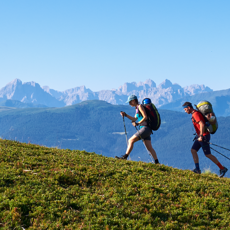 Ampi prati con due escursionisti | © Andreas Gruber
