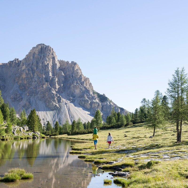 Famiglia in natura | © Alex Filz