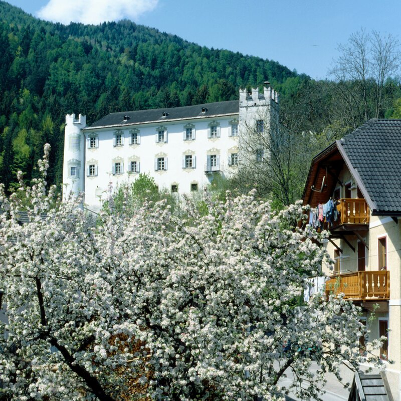 Castello di Casteldarne, melo in fiore in primo piano