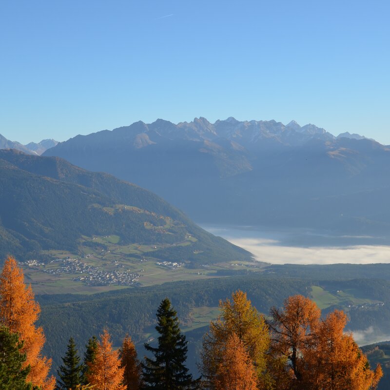 Paesaggio con splendido panorama montano, boschi autunnali in primo piano