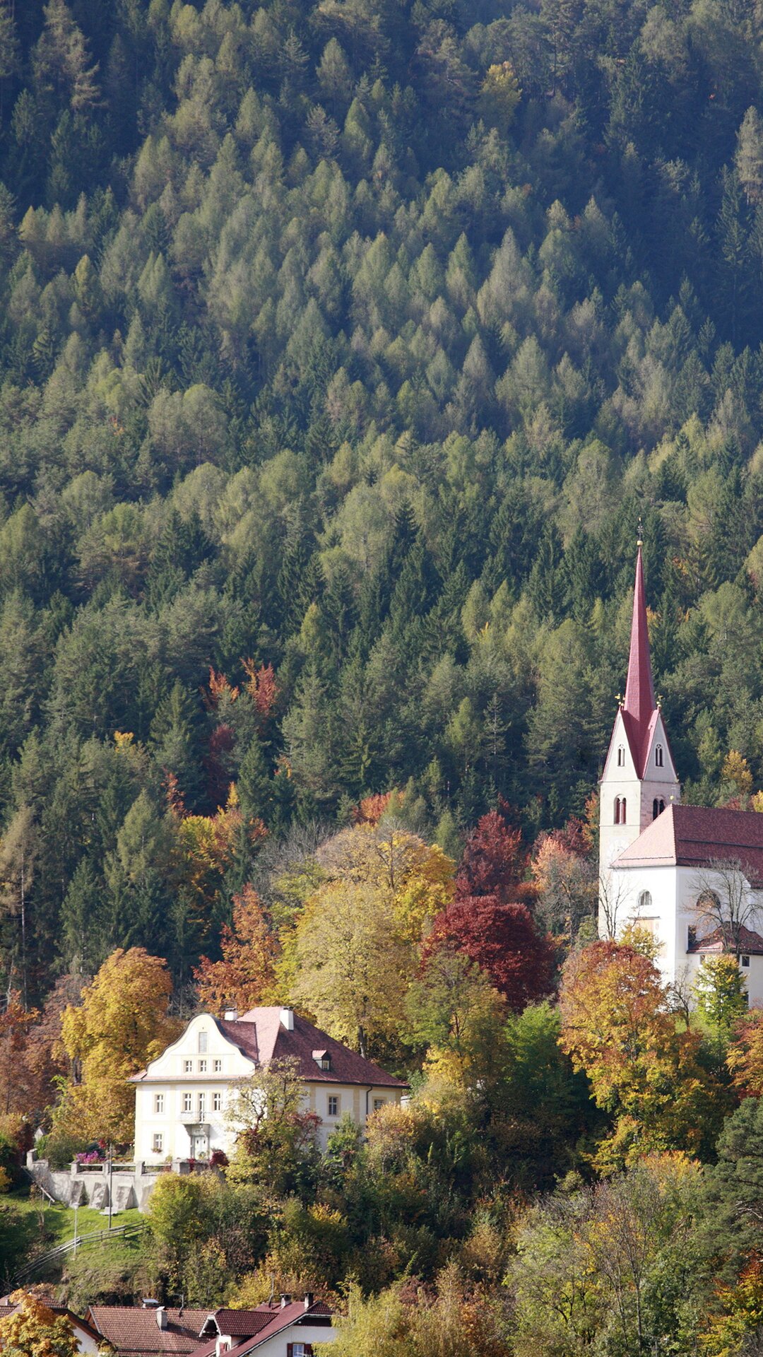 La collina della chiesa di Casteldarne in autunno
