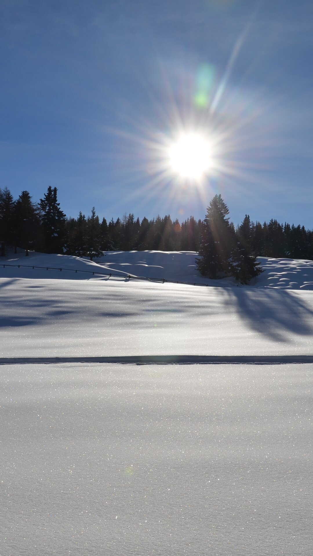 Snowy meadow with sun