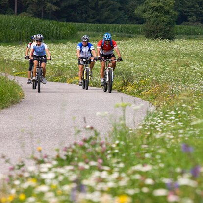 Quattro ciclisti | © Georg Tappeiner