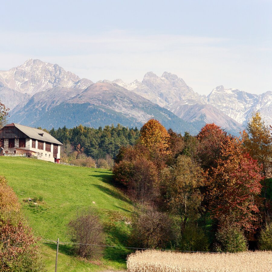 Kleiner Hof in Mitte von Wälder, Berg Hintergrund | © TV Kiens_ Georg Tappeiner