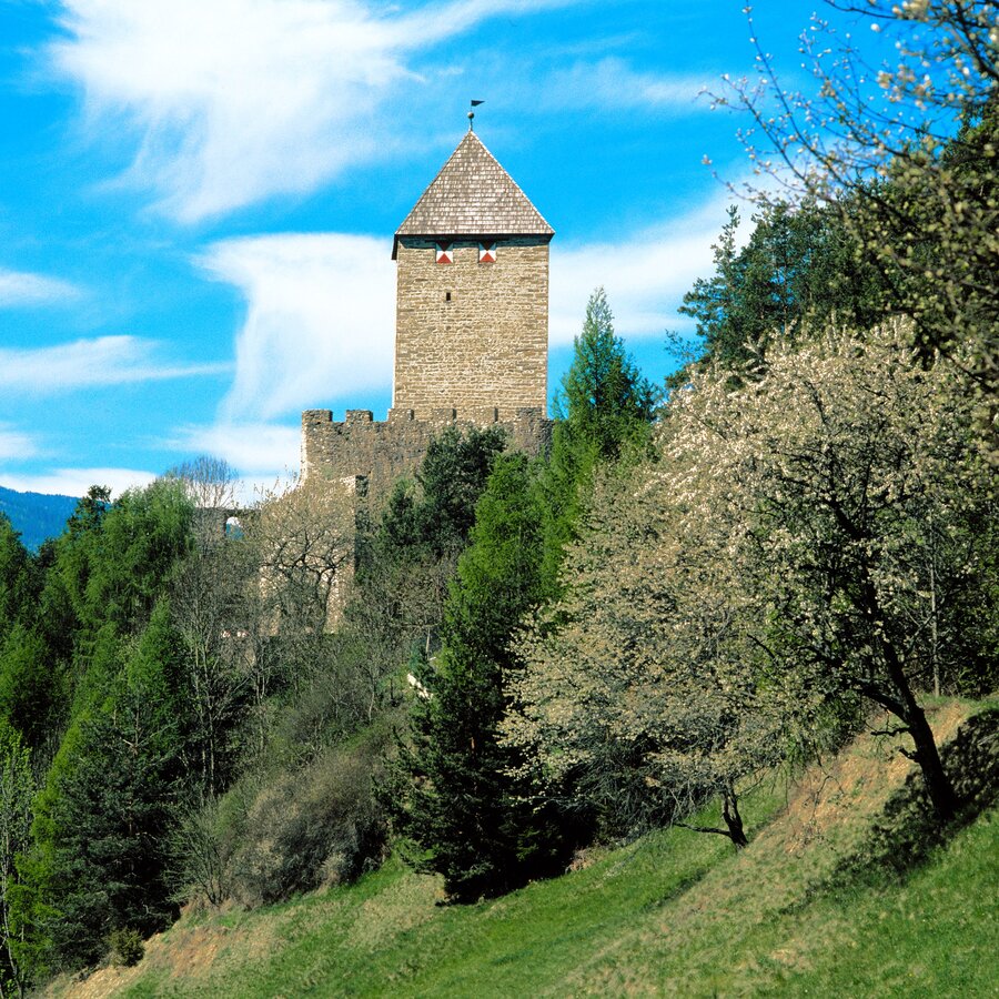 Castello Schöneck in estate | © TV Kiens_Georg Tappeiner