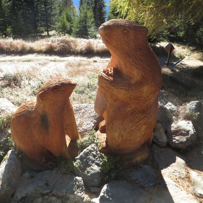 Wooden marmot sculptures | © Paul Seeber