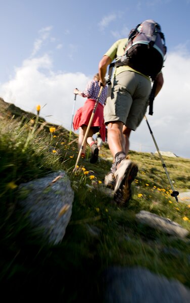 Hikers in a flower meadow | © Georg Tappeiner