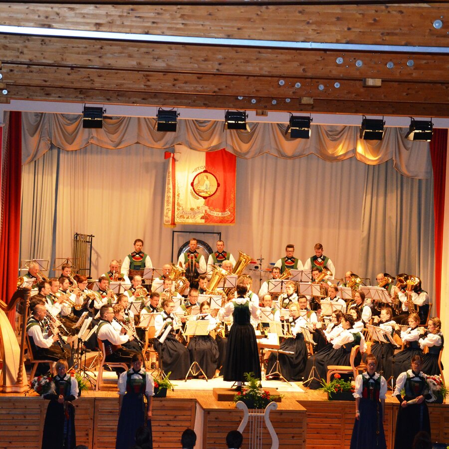 Music band at the concert in the association hall