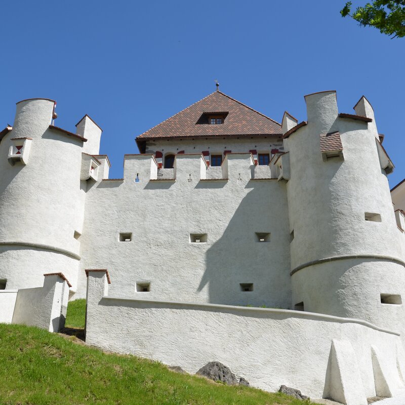 Castello di Casteldarne, vista da sud