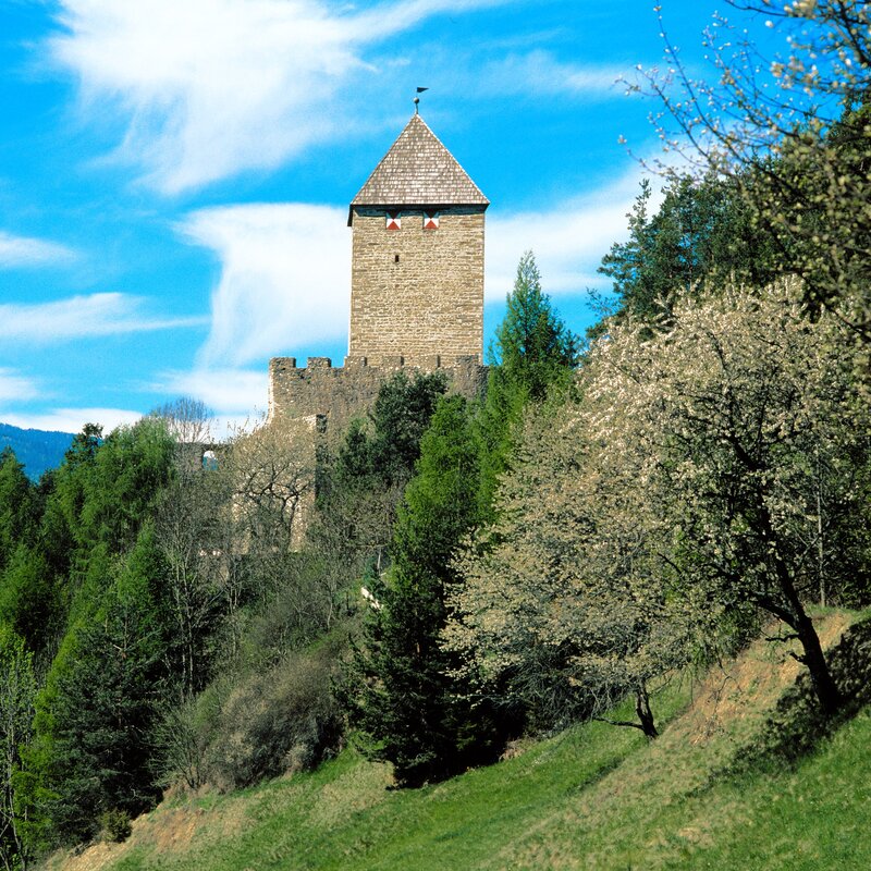 Burg Schöneck unter blauen Himmel